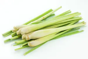 Lemon grass stalks, natural insect repellent ingredient