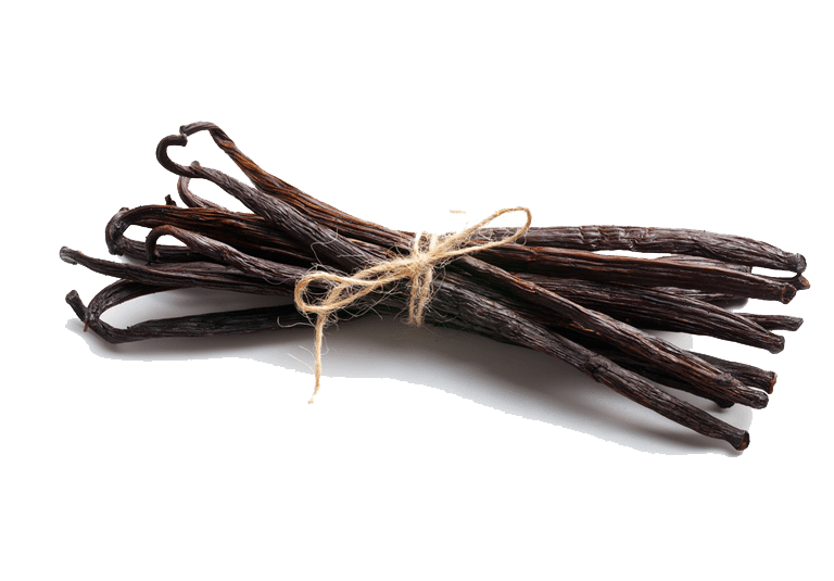 Vanilla Bean pods, natural insect repellent ingredient