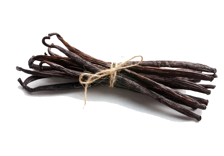 Vanilla Bean pods, natural insect repellent ingredient